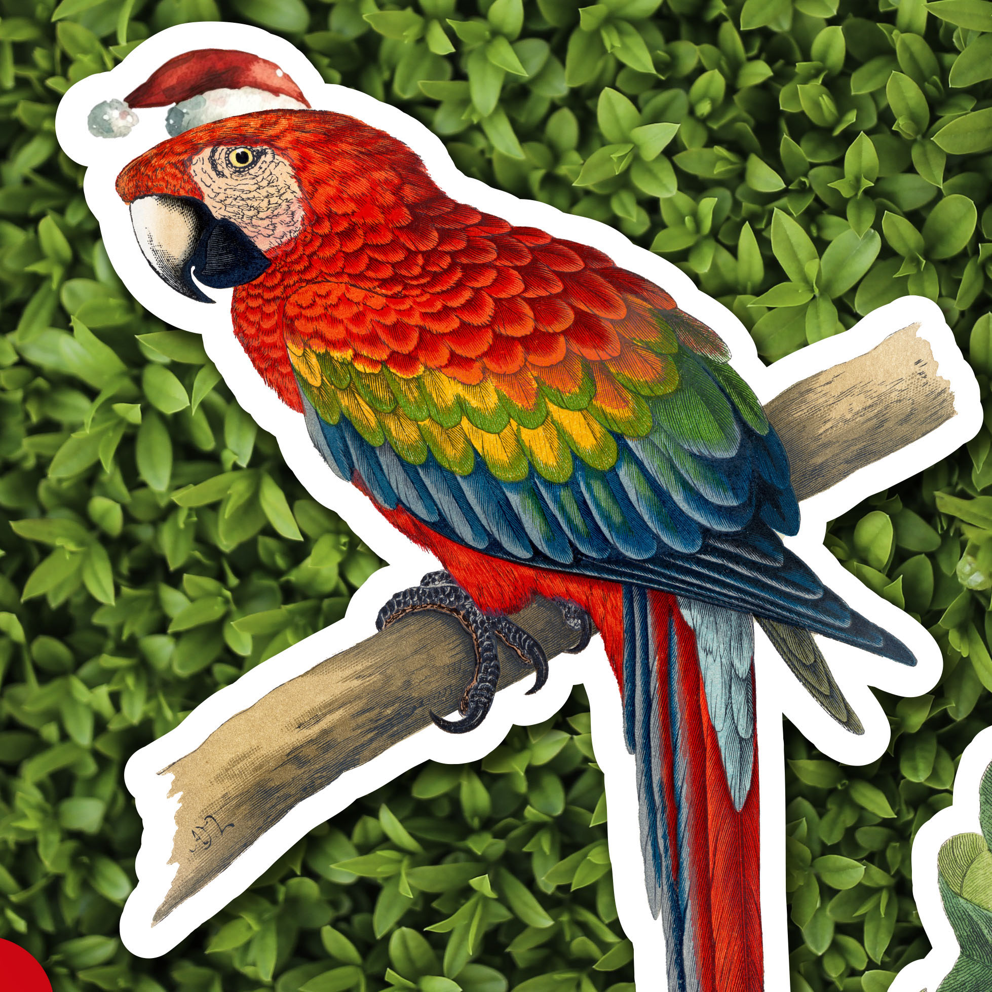 Tropical Christmas . Corporate Event